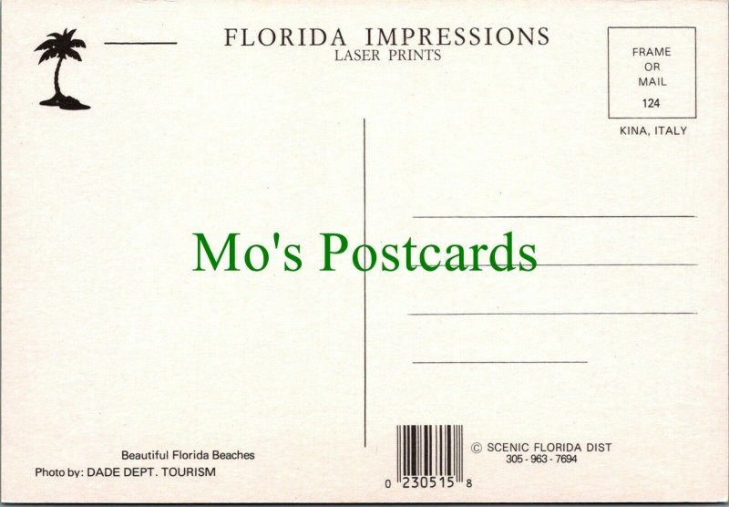 America Postcard - Beautiful Florida Beaches RRR1073