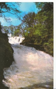 Wales Postcard - The Swallow Falls - Betws-y-Coed    XX780