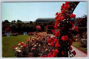 Rose Garden In Fenway, Boston MA, 1956 Postcard, US Savings Bonds Slogan Cancel