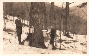 VINTAGE POSTCARD TWO MEN TAPPING RUBBER FROM TREE TRUNK REAL PHOTO c. 1930