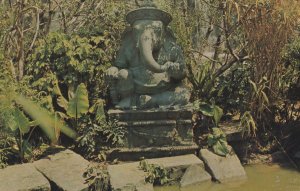 Disneyland Elephant Pool Postcard