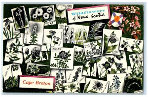 c1950's Cape Breton Wildflowers Nova Scotia Canada Kinds of Flowers Postcard