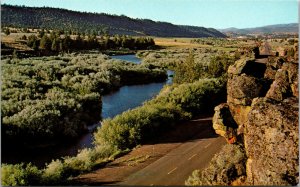 Vtg 1950s The Pit River Along Route 395 Highway Alturas California CA Postcard