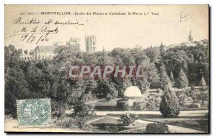 Postcard Old Montpellier Jardin des Plantes and Cathedrale St Pierre