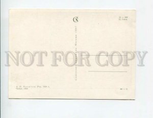 3133306 Seagull by MAZITOV parachute jumper old postcard