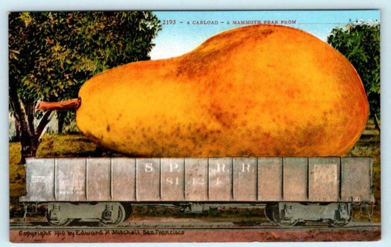 3 Exaggeration Postcards CARLOAD of  BLACKBERRIES, PEAR, RASPBERRIES 1910