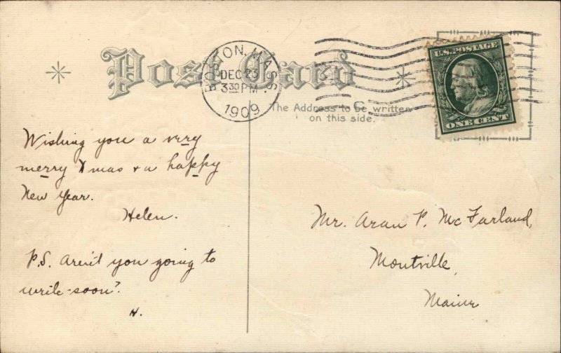 Christmas Birds Holly Embossed c1900s-10s Postcard