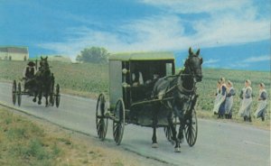 Ohio Dutch Country Amish Family Carriage OH Horse Girls Postcard