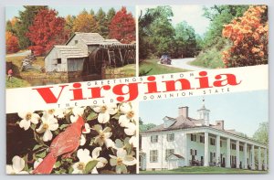 Virginia~Blue Ridge Parkway~Mabry Mill~Skyline Drive~Cardinal~Mt Vernon~1950s Pc