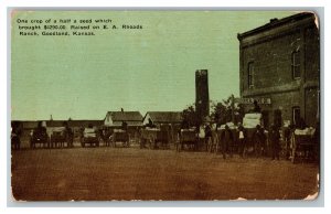 Postcard Half A Seed Brought $4290.00 E.A. Rhoads Ranch KS Standard View Card 