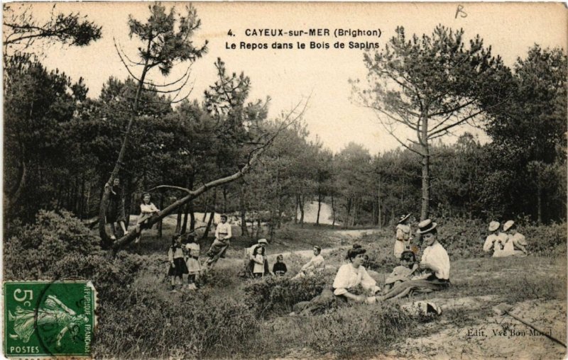 CPA CAYEUX-sur-MER (BRIGHTON) - Le Repos dans le Bois dde Sapins (514730)