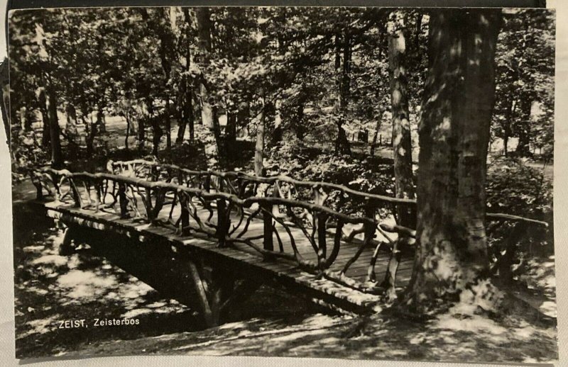 Netherlands Zeist Zeisterbos RPPC - unposted 