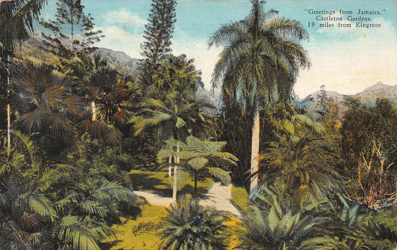 Greetings from Jamaica, Castleton Gardens, Early Postcard, Used in 1936