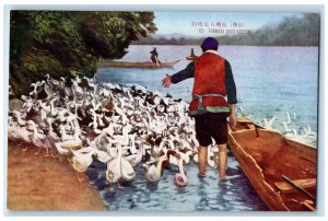 c1930's Duck Keeper Formosa Taiwan, Boat Ducklings Unposted Vintage Postcard