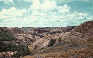 Vintage Postcard View Of Badlands Wonderlands Cedar Grand Canyon Colorado