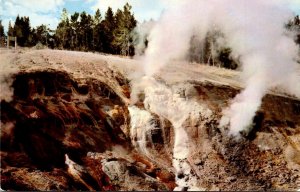 Yellowstone National Park Black Growler Steamvent
