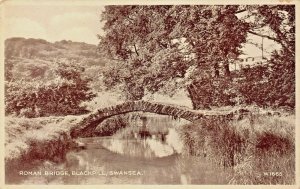 BLACKPILL SWANSEA WALES UK~ROMAN BRIDGE~ POSTCARD