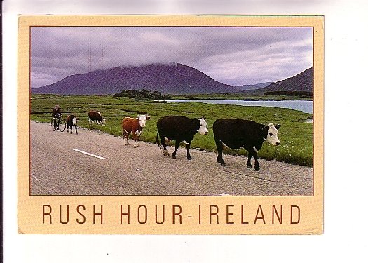 Cows,  Man on Bicycle, Rush Hour Ireland,  Used 1989