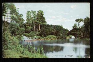 Ireland 1907 Dinis Island Killarney PostcardPostmark Dublin/