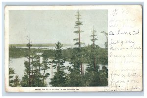 C. 1900-10 Among The 30,000 Islands Of The Georgian Bay. Postcard F145E