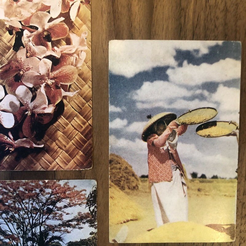 Lot Of 11 : Vintage Color Post Card Philippines Kodachrome Manila