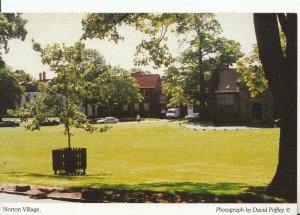 Northamptonshire Postcard - Norton Village - Ref 19012A