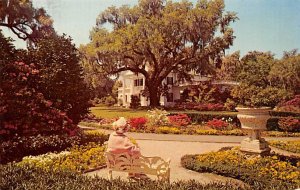 Orton Plantation near Wilmington  - Wilmington, North Carolina NC  