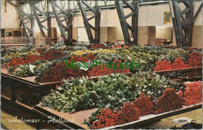 Netherlands Postcard - Aalsmeer - Interior of The Flower Auction  RS26165