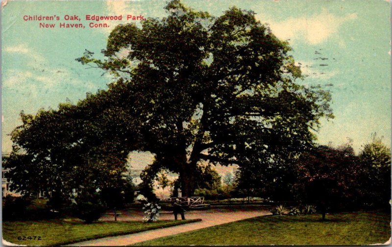 Connecticut New Haven Edgewood Park Children's Oak 1916