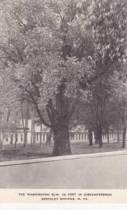 West Virginia Berkeley Springs Washington Elm Albertype