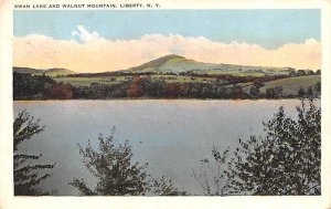 Swan Lake Liberty Walnut Mountain New York