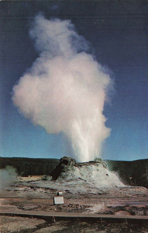 Postcard Castle Geyser Yellowstone Natl Prk Performing 16hrs At A Time VPC0.