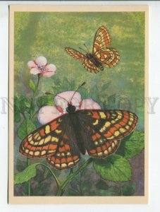 455240 USSR 1982 butterflies Polar checker Melitaea iduna Dalm by artist Aristov