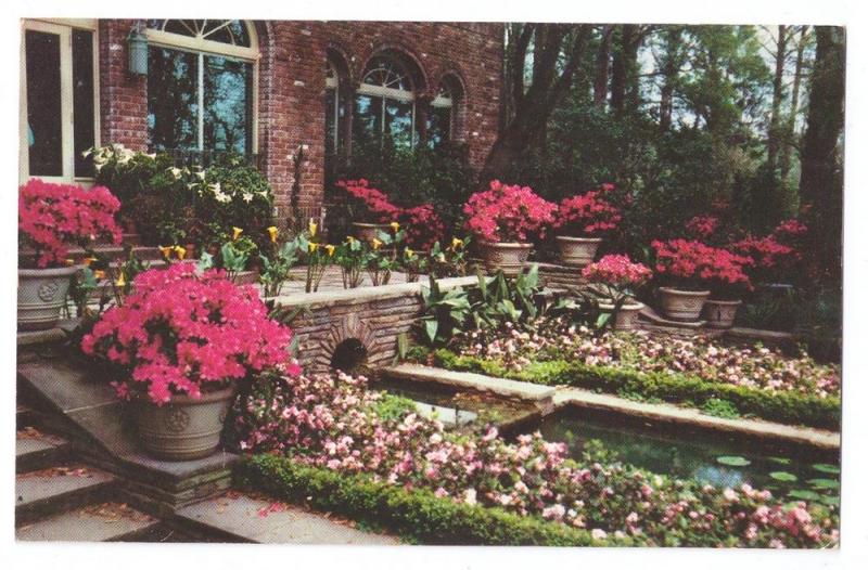 Bellingrath Gardens Mobile Alabama AL Vintage 1958 Postcard