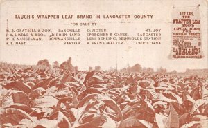 Philadelphia Pennsylvania Baugh's Wrapper Leaf Tobacco Farm Postcard AA105140