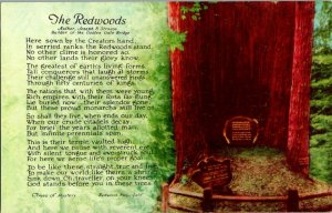 The Redwoods Poem Author Joseph B. Strauss Vintage Postcard Standard View Card 