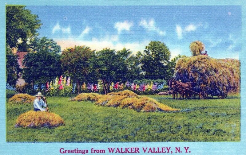 NY, Greetings from Walker Valley, New York Linen Postcard United