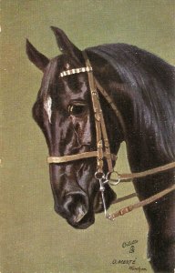 O.Merte.  Horse  Tuck Oilette Man'ps Best Friends Series PC # 9816