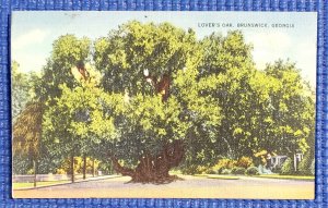 Lover's Oak Tree Brunswick Georgia GA Vintage Linen Postcard