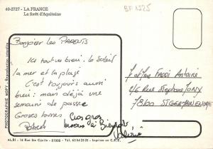 BF1525 La france la foret d aquitaine  France