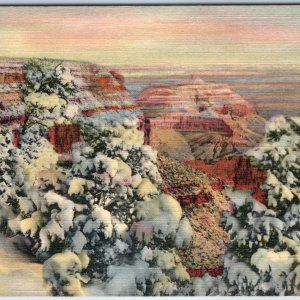 c1940s Grand Canyon, AZ Winter Snow Scene Fairyland Tree Unp JR Willis PC A247