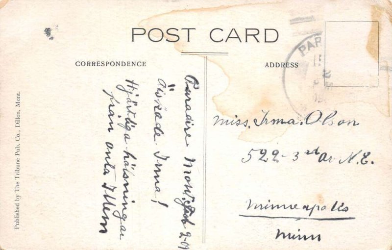 Browne's Lake Montana Island Scenic View Vintage Postcard AA92054