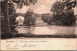 Belgium Brussels Bruxelles Lac du Bois de la Cambre Vintage Postcard C097