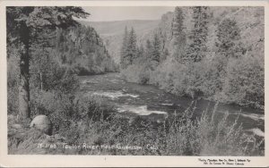 RPPC Postcard Taylor River Near  Gunnison CO Colorado