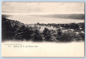Watkins New York Postcard Seneca Lake Birds Eye View Trees 1905 Vintage Unposted