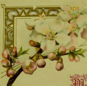 1880's German Die-Cut Religious Card Bible Quote Blossoms Fab! P194