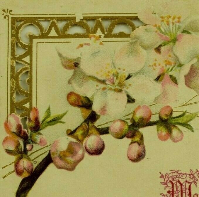 1880's German Die-Cut Religious Card Bible Quote Blossoms Fab! P194 