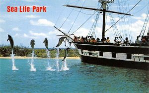 SEA LIFE PARK Oahu, Hawaii Dolphins c1960s Vintage Postcard