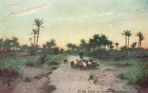 Vintage Postcard 1910s In The Land of Goshen Evening in Egypt Flock Shepherd Art