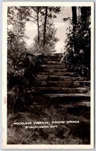 Postcard RPPC c1948 Bobcaygeon Ontario Woodland Stairway Meadow Springs